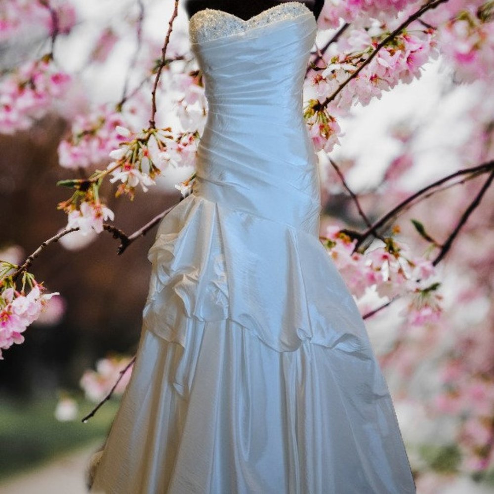 Jasmine Bridal Wedding Gown Size 12